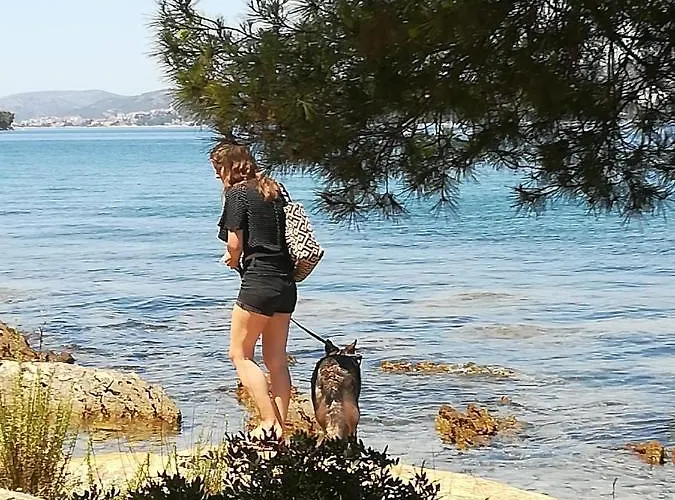 Διαμέρισμα Caroline